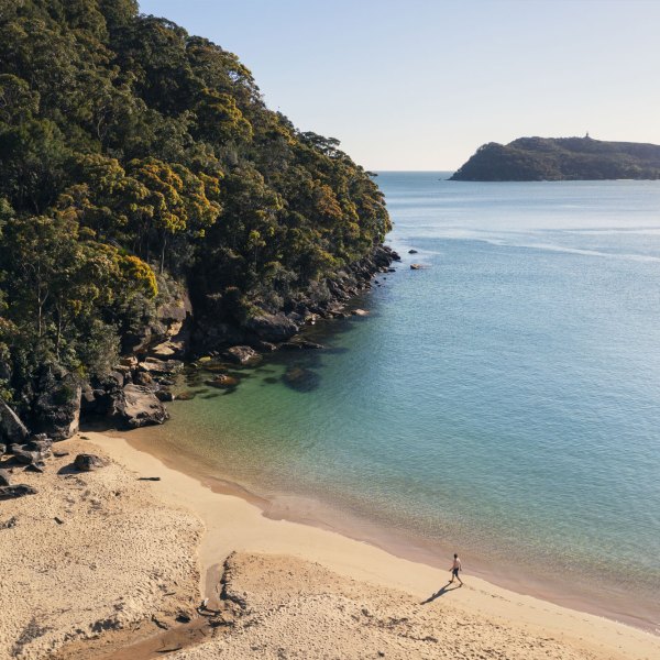 an island in the middle of a body of water